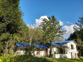 Attic Monkey Hostel - Old Manali